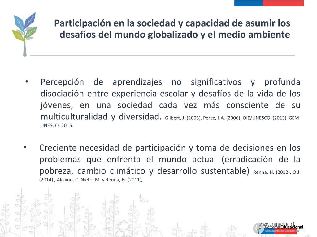 Participación en la sociedad y capacidad de asumir los desafíos del mundo globalizado y el medio ambiente