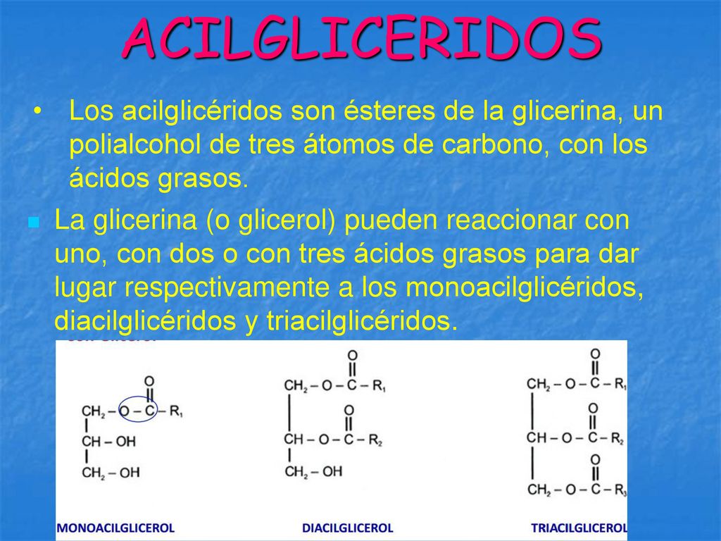 ACILGLICERIDOS Los acilglicéridos son ésteres de la glicerina, un polialcohol de tres átomos de carbono, con los ácidos grasos.