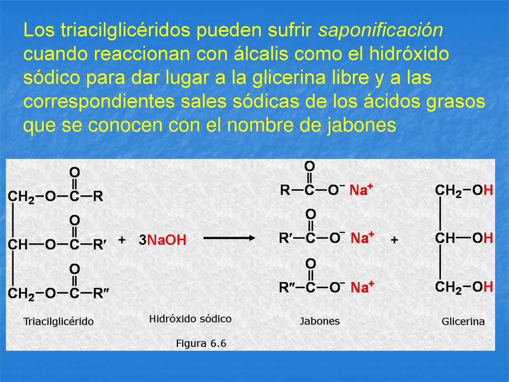 Los triacilglicéridos pueden sufrir saponificación cuando reaccionan con álcalis como el hidróxido sódico para dar lugar a la glicerina libre y a las correspondientes sales sódicas de los ácidos grasos que se conocen con el nombre de jabones