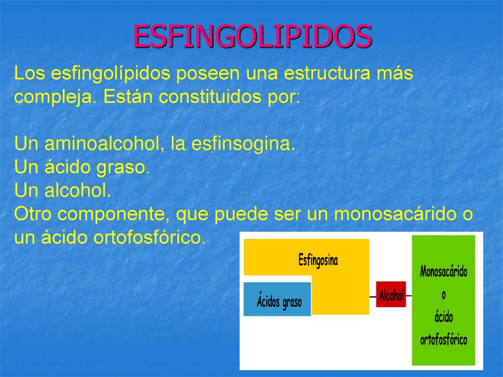 ESFINGOLIPIDOS Los esfingolípidos poseen una estructura más compleja. Están constituidos por: Un aminoalcohol, la esfinsogina.