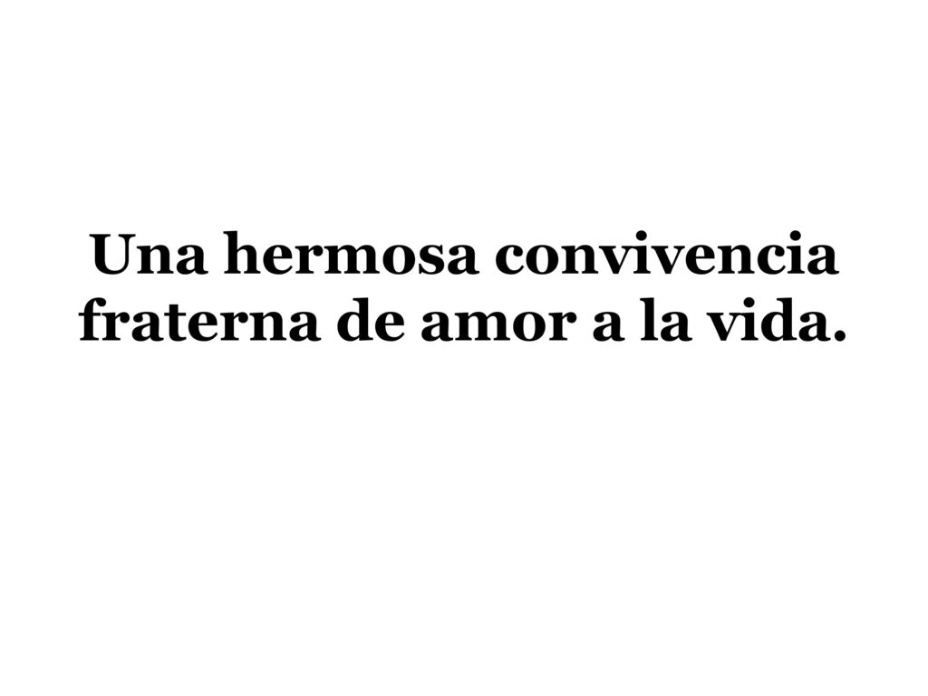 Una hermosa convivencia fraterna de amor a la vida.
