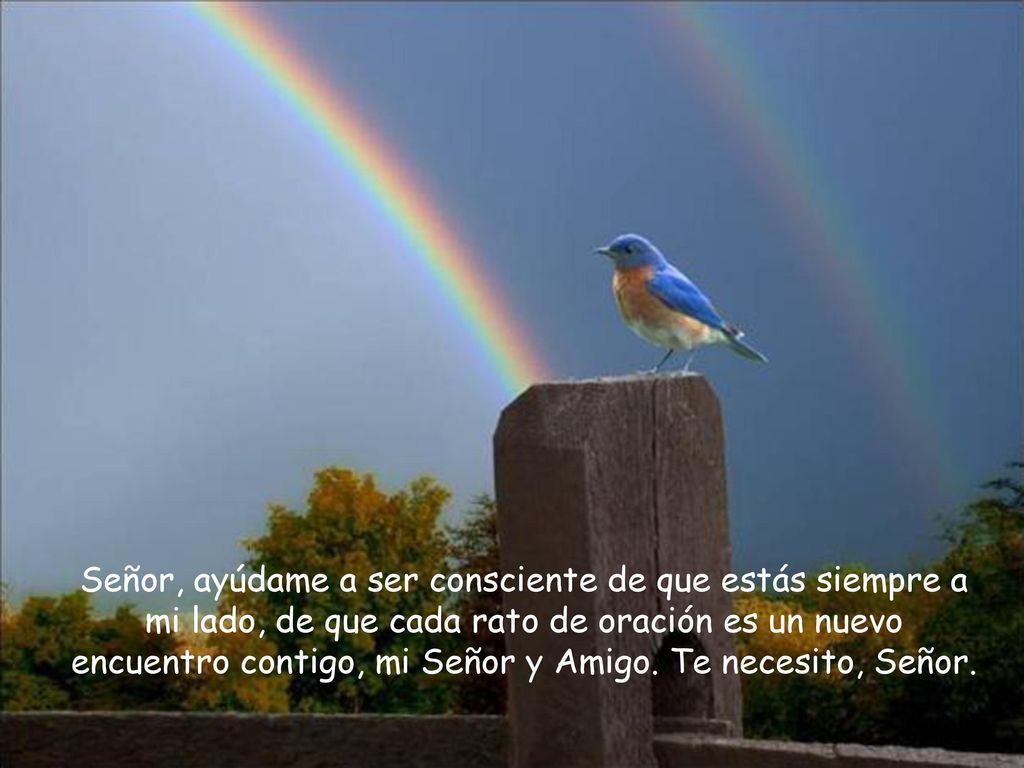 Señor, ayúdame a ser consciente de que estás siempre a mi lado, de que cada rato de oración es un nuevo encuentro contigo, mi Señor y Amigo.