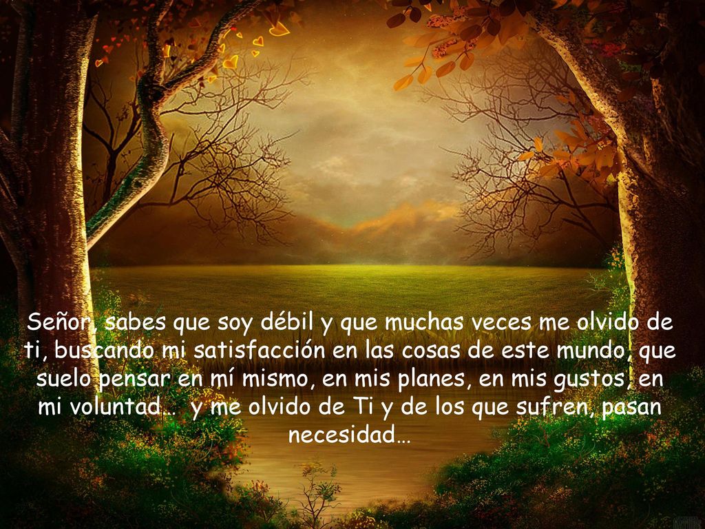 Señor, sabes que soy débil y que muchas veces me olvido de ti, buscando mi satisfacción en las cosas de este mundo, que suelo pensar en mí mismo, en mis planes, en mis gustos, en mi voluntad… y me olvido de Ti y de los que sufren, pasan necesidad…
