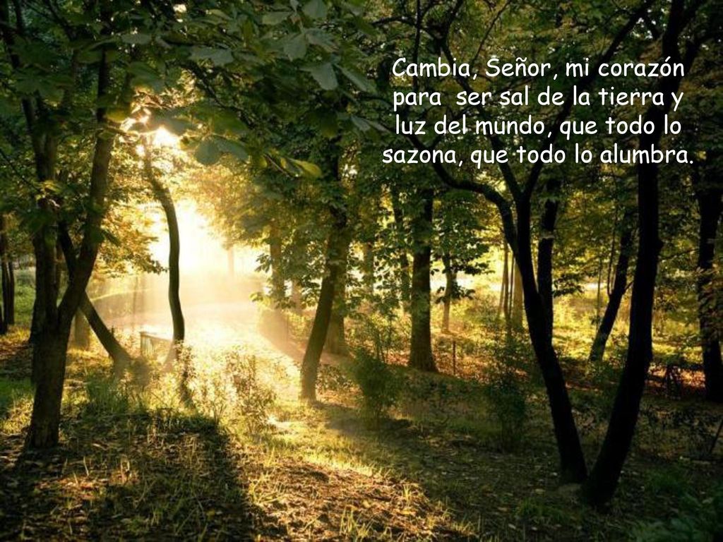 Cambia, Señor, mi corazón para ser sal de la tierra y luz del mundo, que todo lo sazona, que todo lo alumbra.