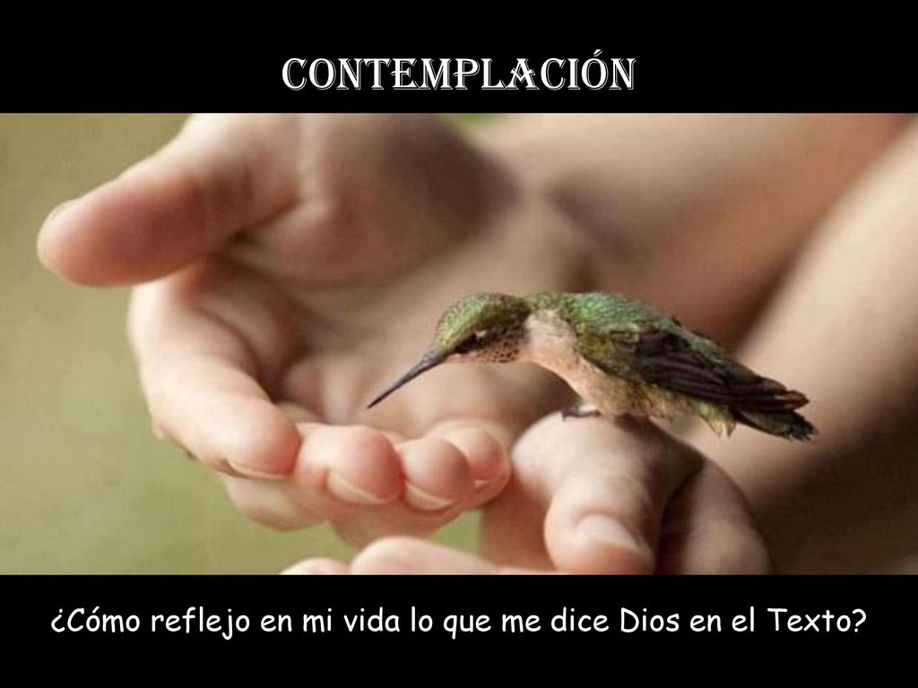 ¿Cómo reflejo en mi vida lo que me dice Dios en el Texto