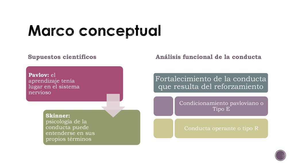 Marco conceptual Supuestos científicos. Análisis funcional de la conducta. Pavlov: el aprendizaje tenía lugar en el sistema nervioso.