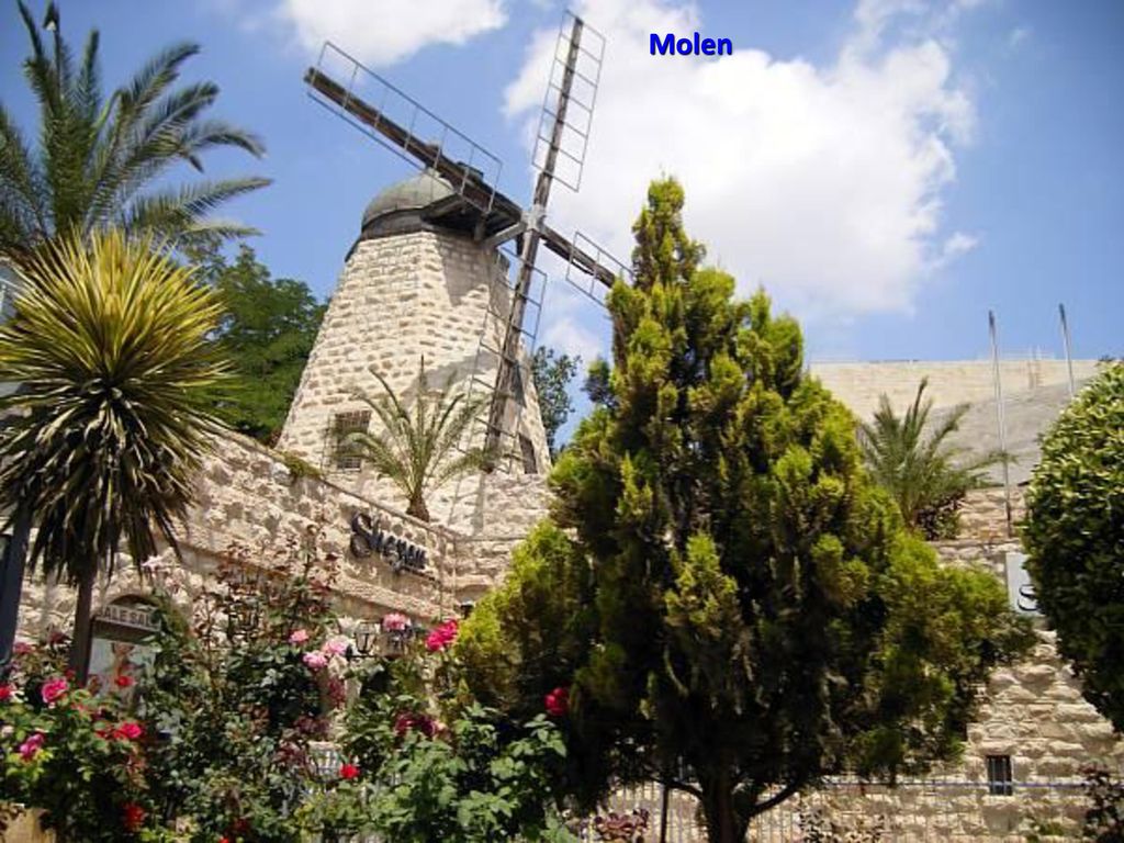 Molen miércoles, 08 de agosto de 2018miércoles, 08 de agosto de 2018