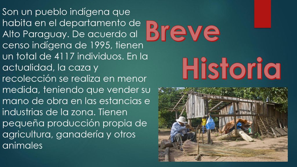 Son un pueblo indígena que habita en el departamento de Alto Paraguay