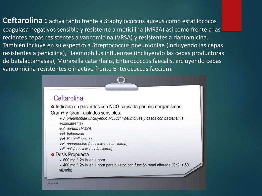 Ceftarolina : activa tanto frente a Staphylococcus aureus como estafilococos coagulasa negativos sensible y resistente a meticilina (MRSA) así como frente a las recientes cepas resistentes a vancomicina (VRSA) y resistentes a daptomicina.