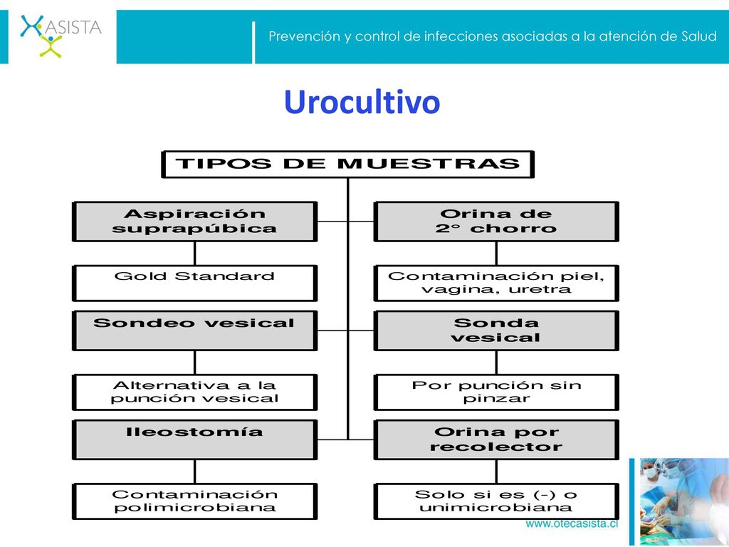 Prevención y control de infecciones asociadas a la atención de Salud
