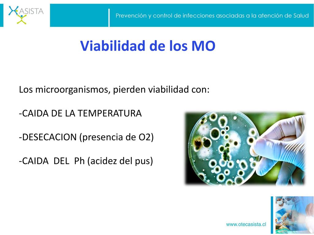 Prevención y control de infecciones asociadas a la atención de Salud