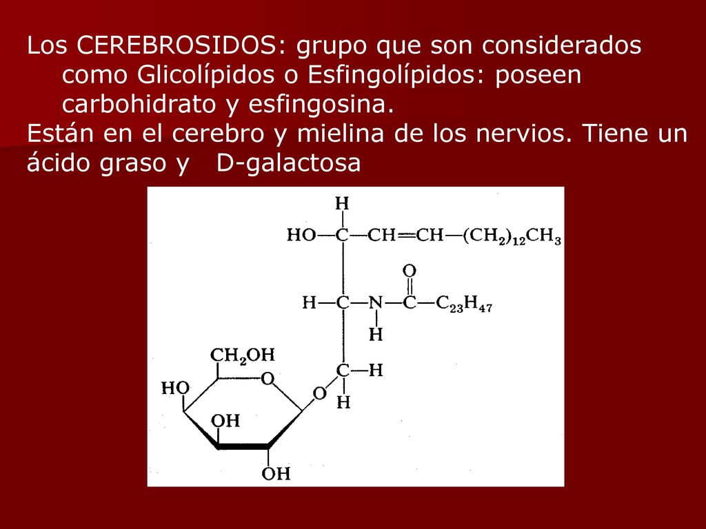 Los CEREBROSIDOS: grupo que son considerados como Glicolípidos o Esfingolípidos: poseen carbohidrato y esfingosina.