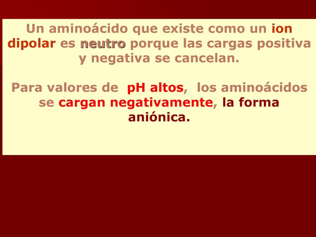 Un aminoácido que existe como un ion dipolar es neutro porque las cargas positiva y negativa se cancelan.