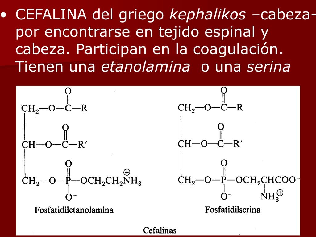 CEFALINA del griego kephalikos –cabeza-por encontrarse en tejido espinal y cabeza.