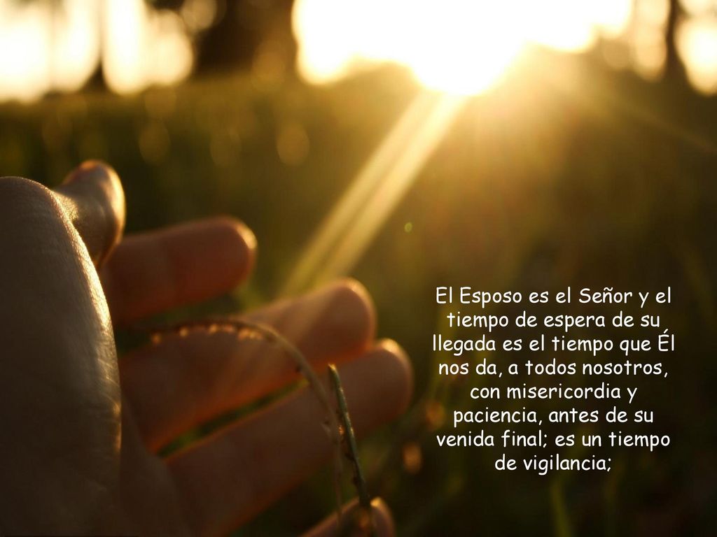 El Esposo es el Señor y el tiempo de espera de su llegada es el tiempo que Él nos da, a todos nosotros, con misericordia y paciencia, antes de su venida final; es un tiempo de vigilancia;