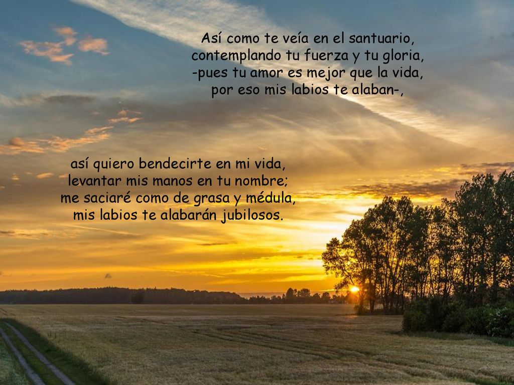 Así como te veía en el santuario, contemplando tu fuerza y tu gloria, -pues tu amor es mejor que la vida, por eso mis labios te alaban-,