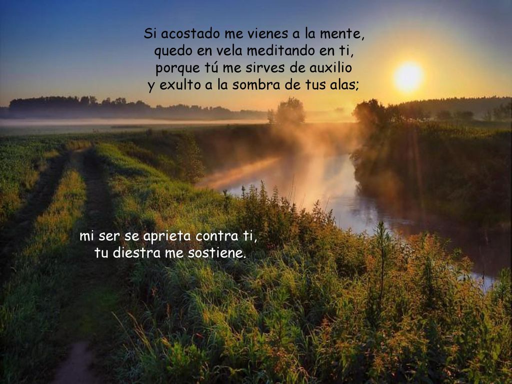 mi ser se aprieta contra ti, tu diestra me sostiene.