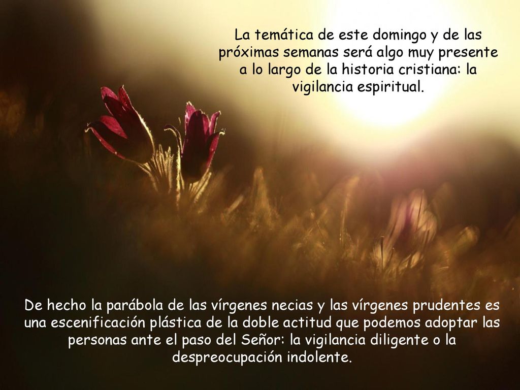 La temática de este domingo y de las próximas semanas será algo muy presente a lo largo de la historia cristiana: la vigilancia espiritual.
