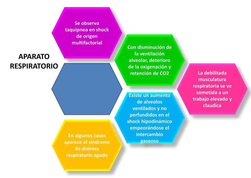Se observa taquipnea en shock de origen multifactorial