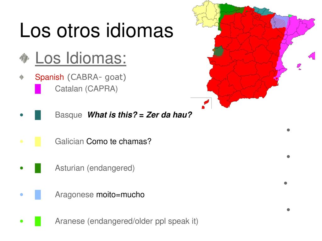 Los otros idiomas Los Idiomas: Spanish (CABRA- goat) █ Catalan (CAPRA)