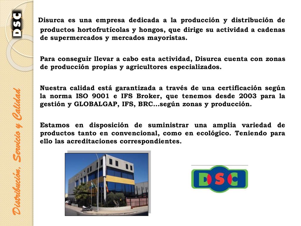 Disurca es una empresa dedicada a la producción y distribución de productos hortofrutícolas y hongos, que dirige su actividad a cadenas de supermercados y mercados mayoristas.