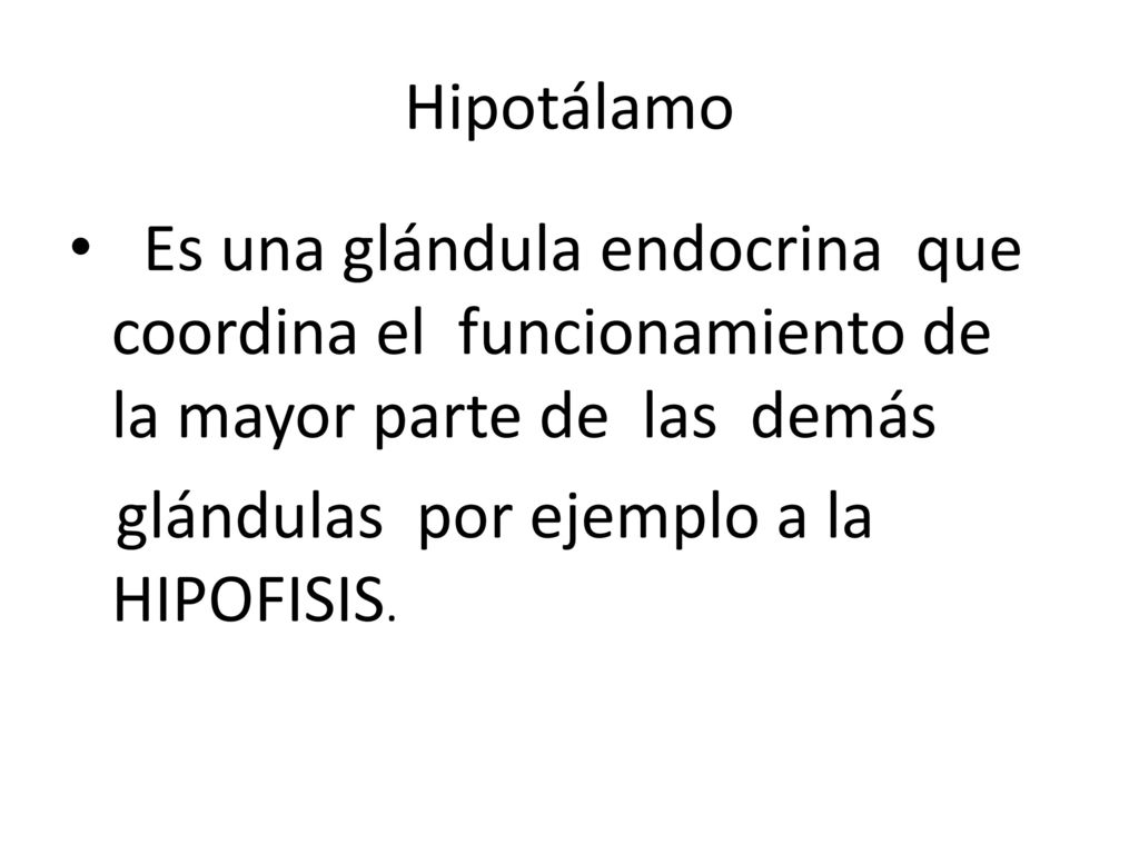 Hipotálamo Es una glándula endocrina que coordina el funcionamiento de la mayor parte de las demás.