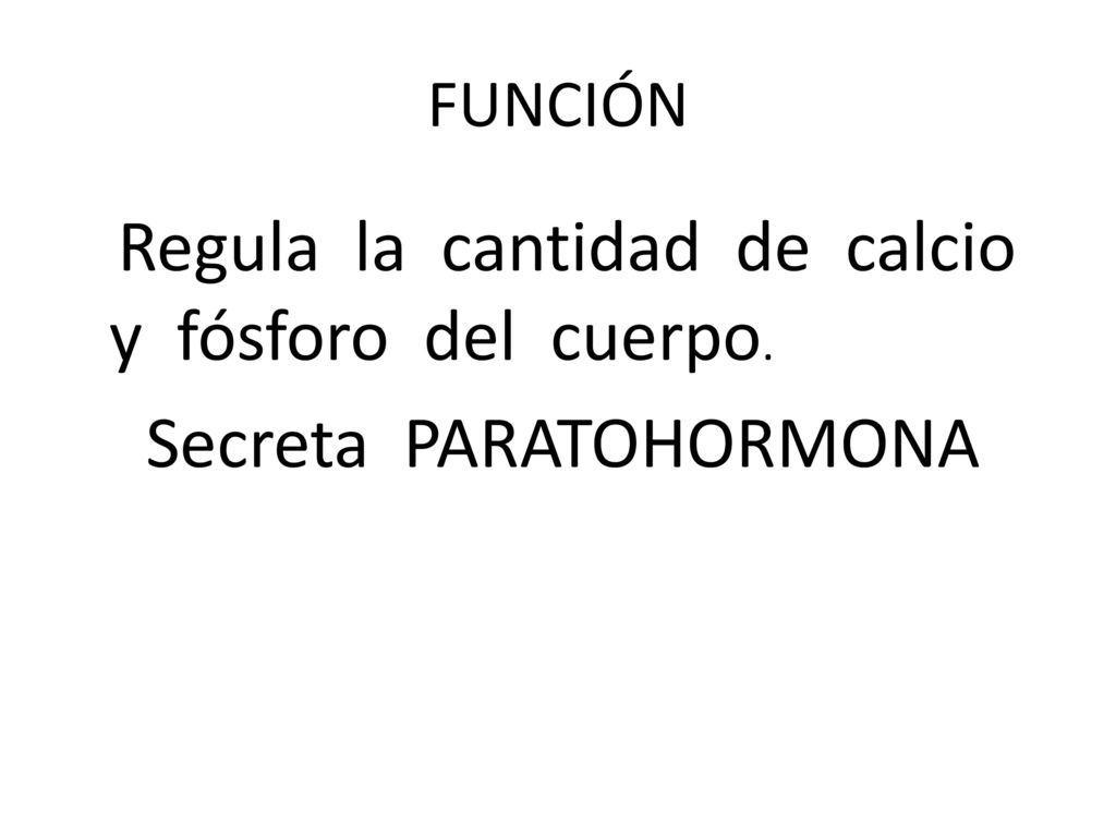 Regula la cantidad de calcio y fósforo del cuerpo.