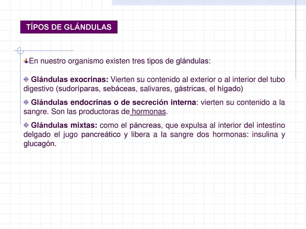 TÍPOS DE GLÁNDULAS En nuestro organismo existen tres tipos de glándulas: