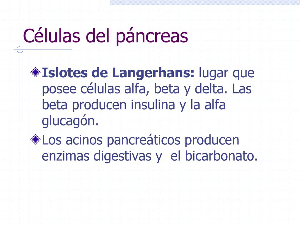 Células del páncreas Islotes de Langerhans: lugar que posee células alfa, beta y delta. Las beta producen insulina y la alfa glucagón.