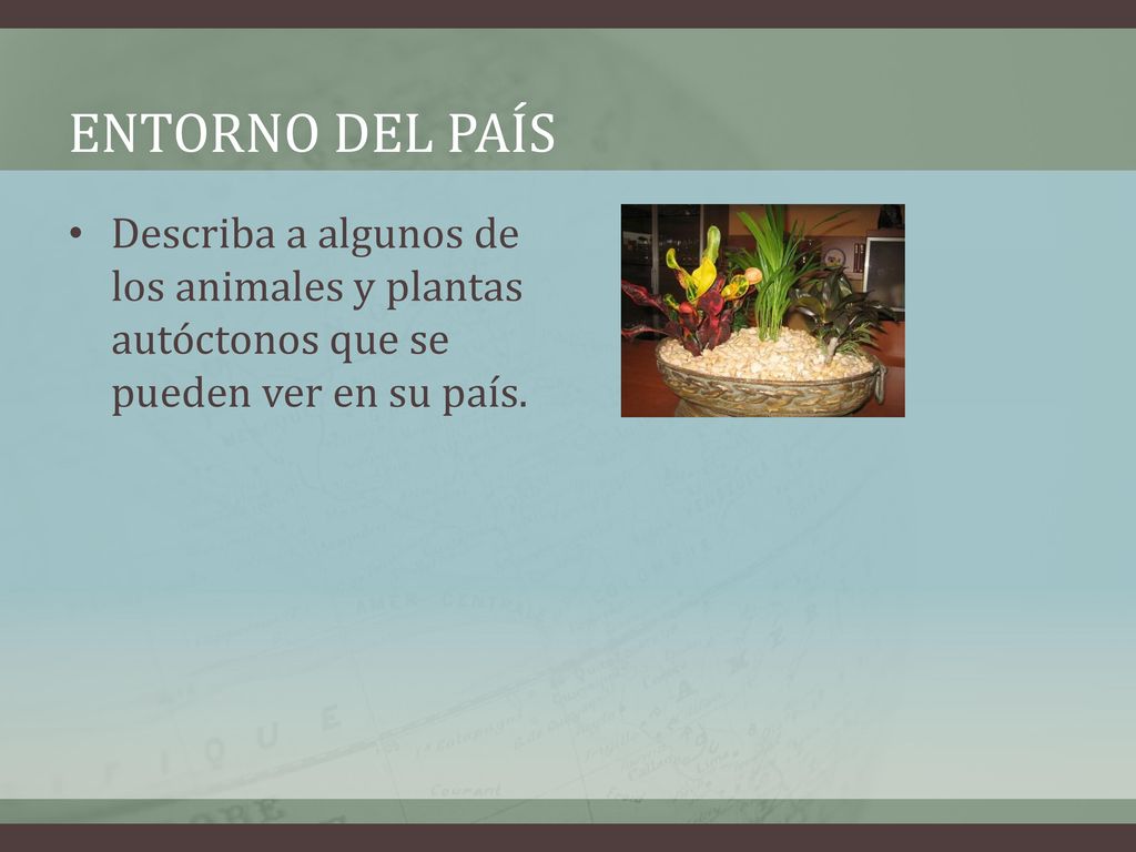 Entorno del país Describa a algunos de los animales y plantas autóctonos que se pueden ver en su país.