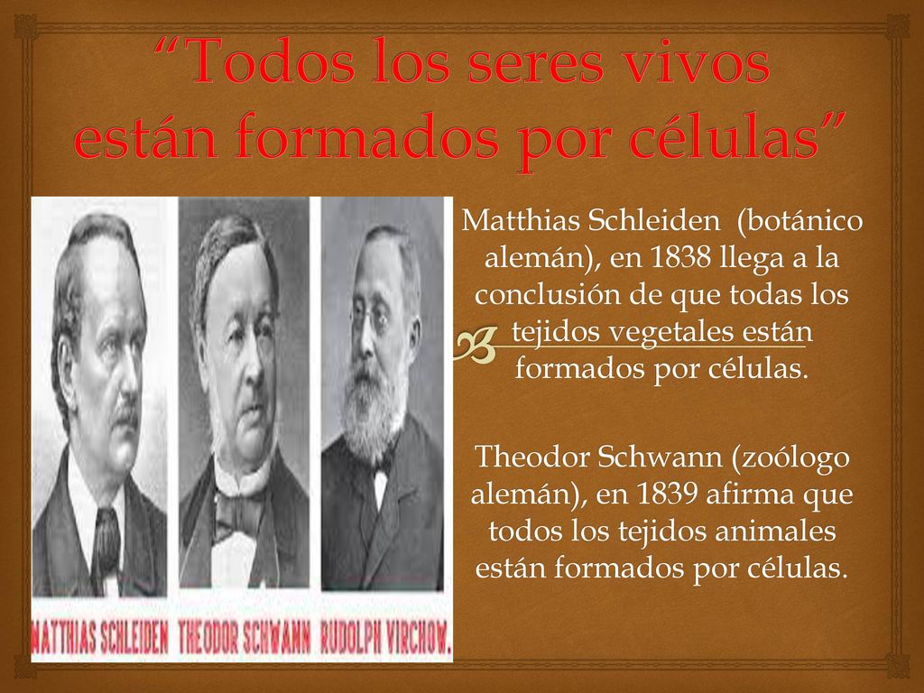 Todos los seres vivos están formados por células