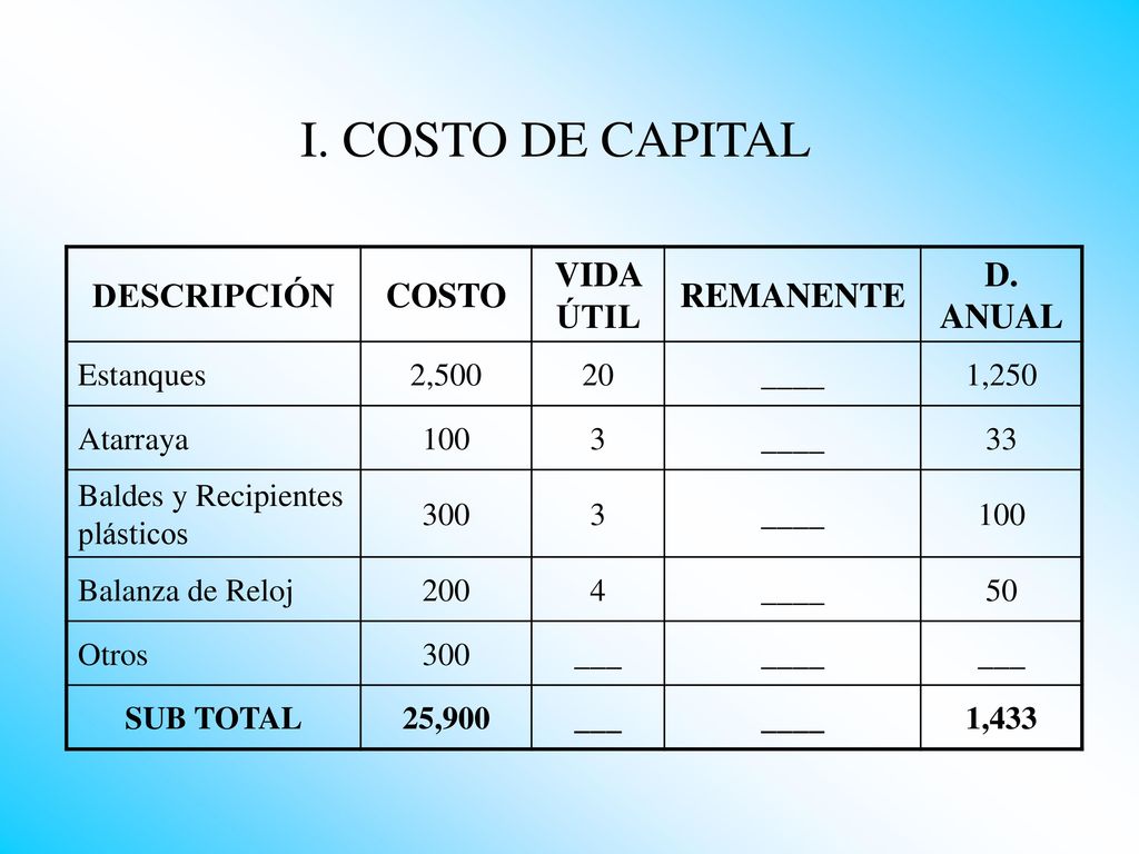 I. COSTO DE CAPITAL DESCRIPCIÓN COSTO VIDA ÚTIL REMANENTE D. ANUAL