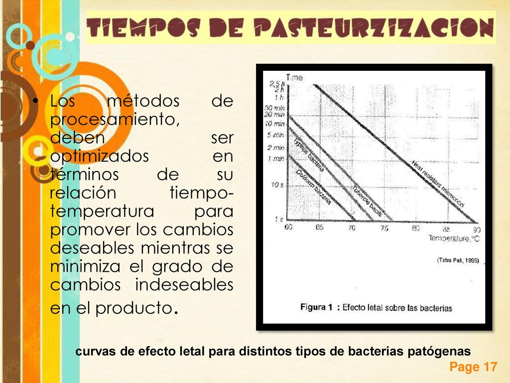 Los métodos de procesamiento, deben ser optimizados en términos de su relación tiempo-temperatura para promover los cambios deseables mientras se minimiza el grado de cambios indeseables en el producto.