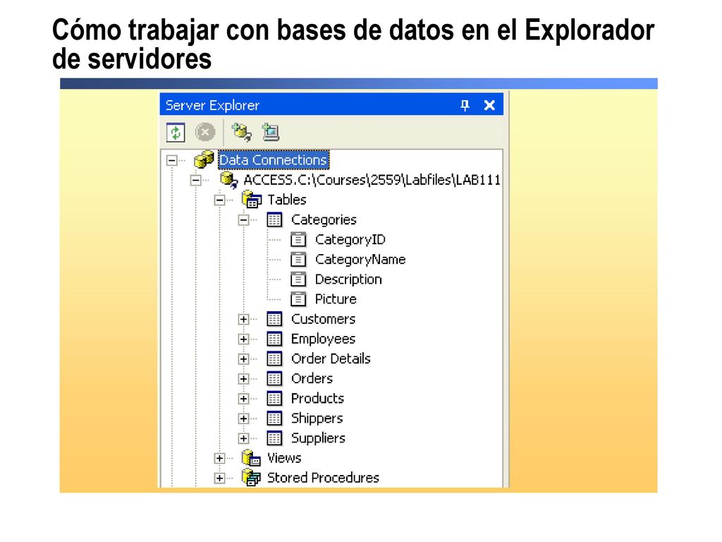 Cómo trabajar con bases de datos en el Explorador de servidores