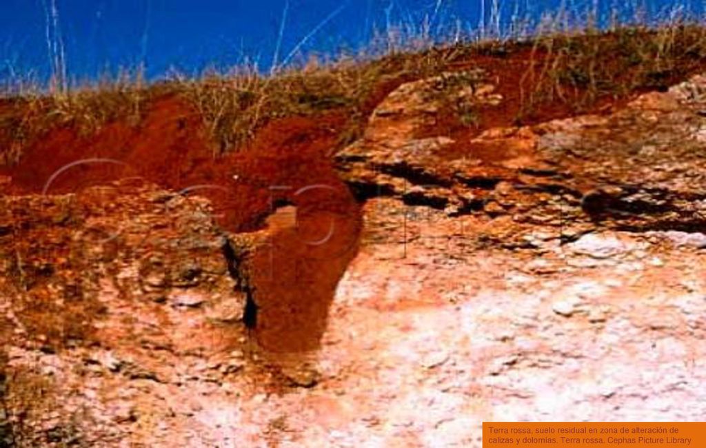 Terra rossa, suelo residual en zona de alteración de calizas y dolomías. Terra rossa. Cephas Picture Library