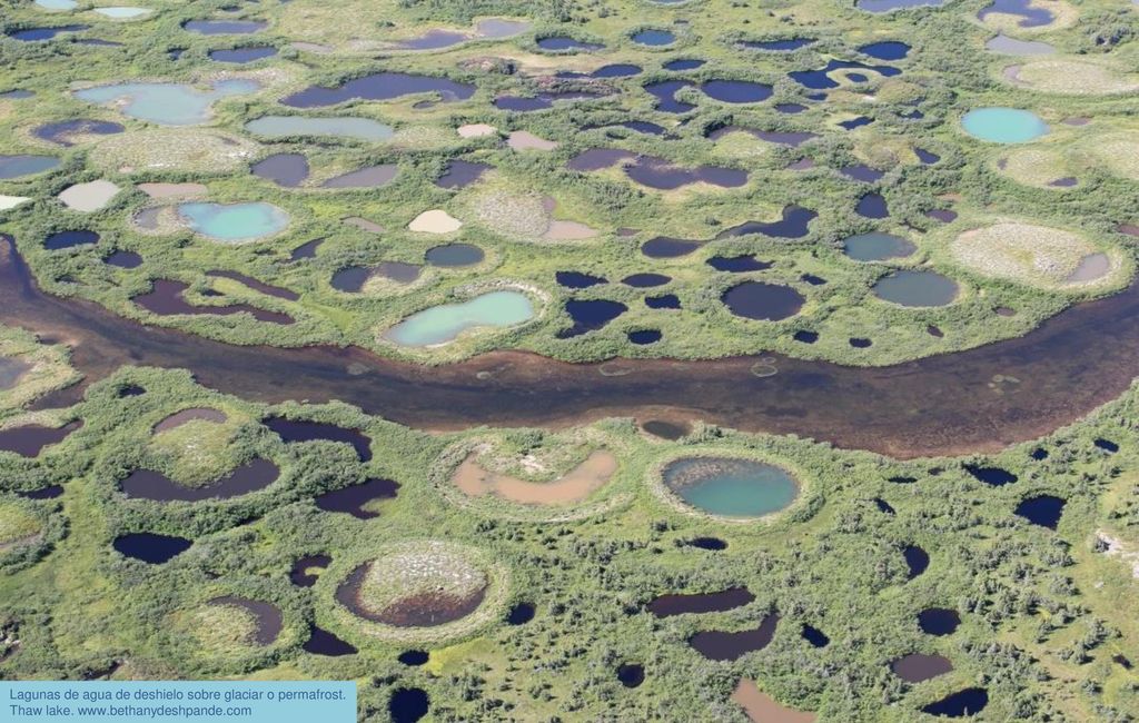 Lagunas de agua de deshielo sobre glaciar o permafrost. Thaw lake. www