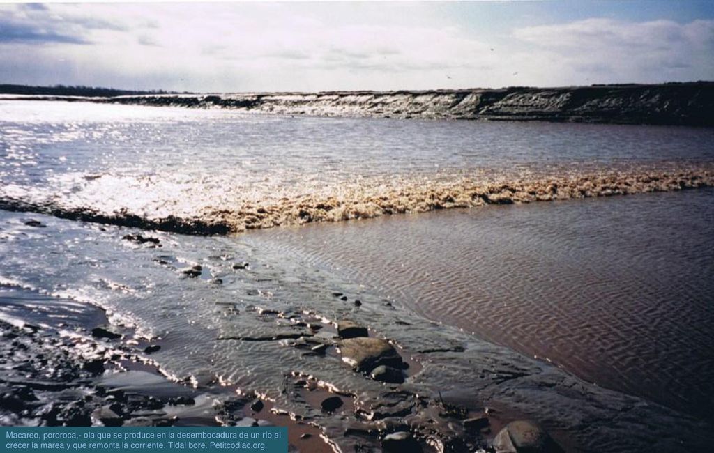 Macareo, pororoca,- ola que se produce en la desembocadura de un río al crecer la marea y que remonta la corriente. Tidal bore. Petitcodiac.org.