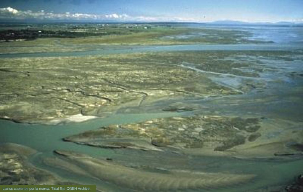 Llanos cubiertos por la marea. Tidal flat. CGEN Archive.