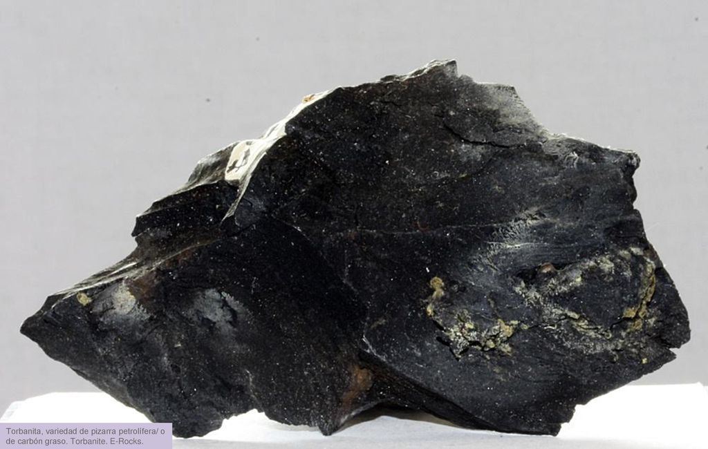 Torbanita, variedad de pizarra petrolífera/ o de carbón graso