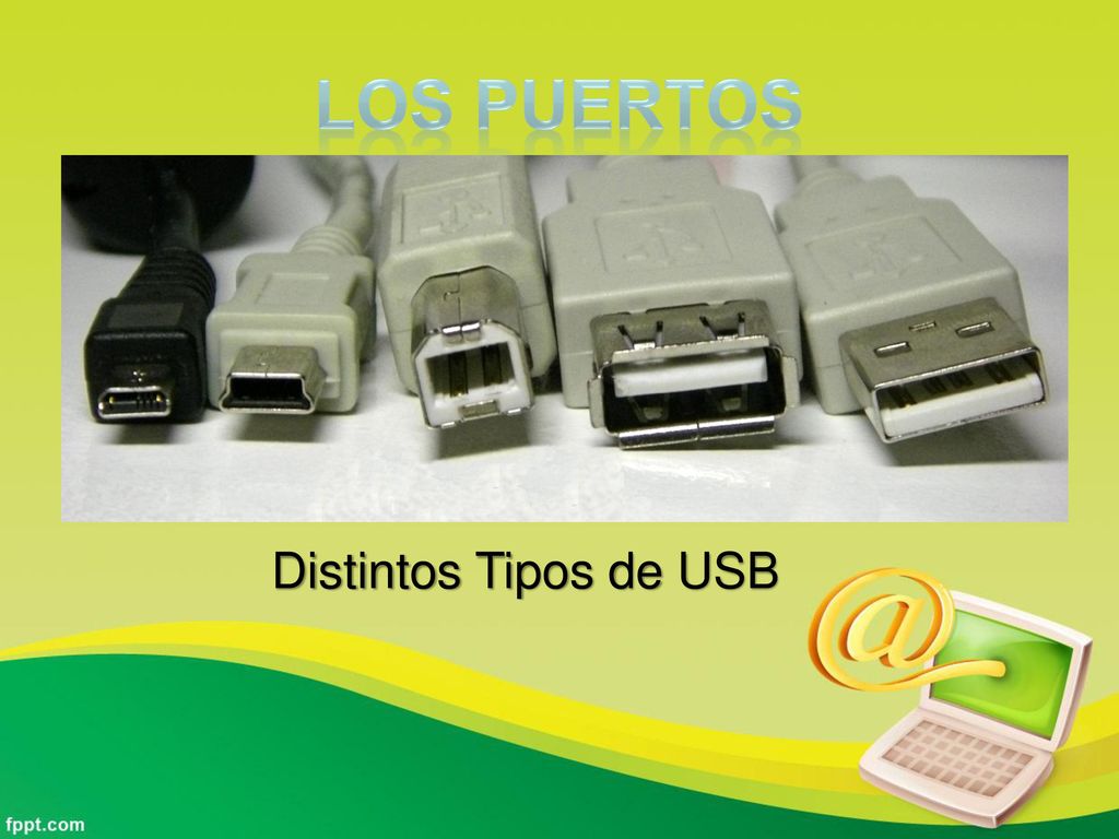 Los Puertos Distintos Tipos de USB