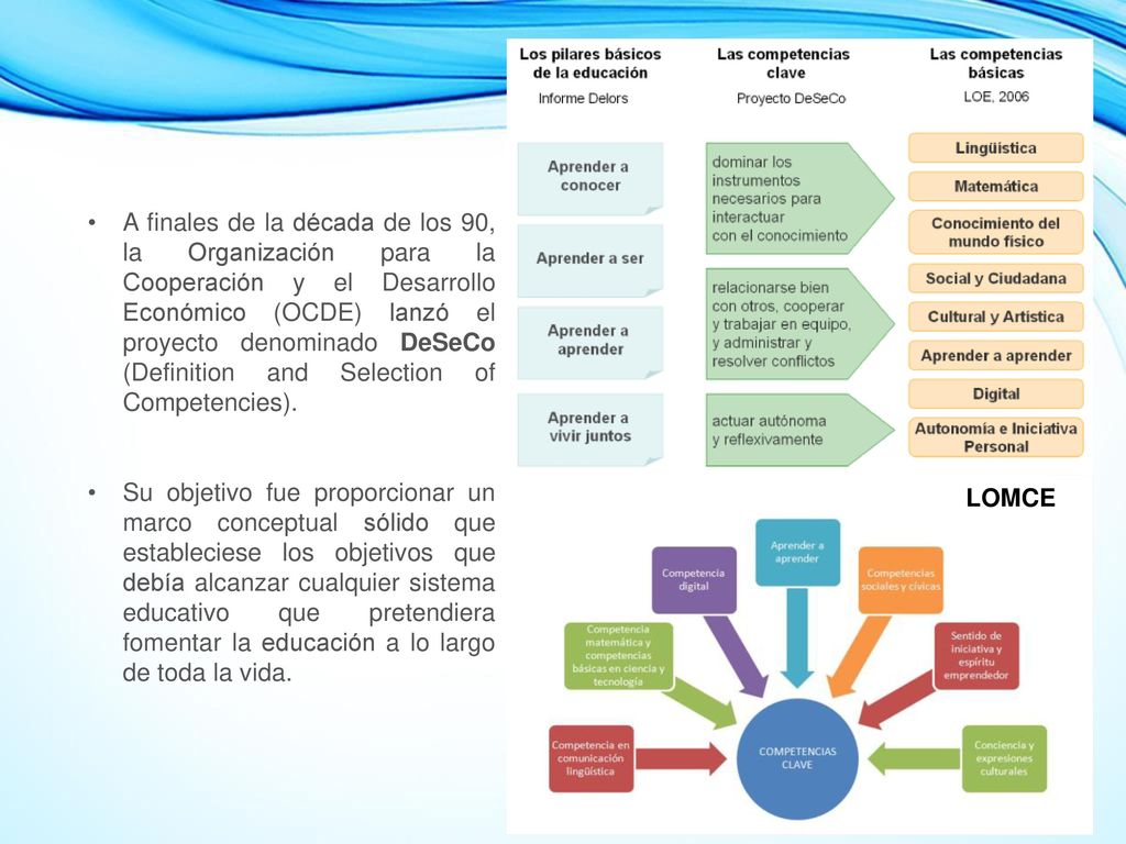 A finales de la década de los 90, la Organización para la Cooperación y el Desarrollo Económico (OCDE) lanzó el proyecto denominado DeSeCo (Definition and Selection of Competencies).