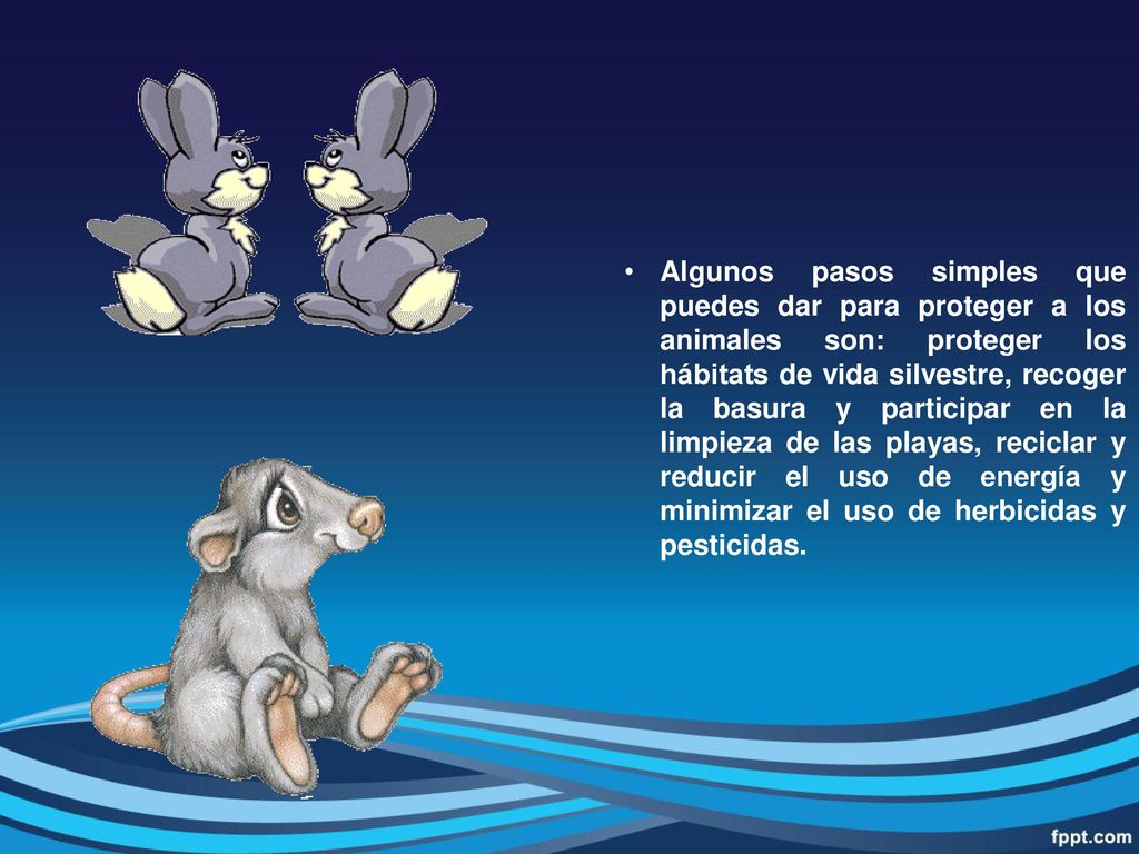 Algunos pasos simples que puedes dar para proteger a los animales son: proteger los hábitats de vida silvestre, recoger la basura y participar en la limpieza de las playas, reciclar y reducir el uso de energía y minimizar el uso de herbicidas y pesticidas.