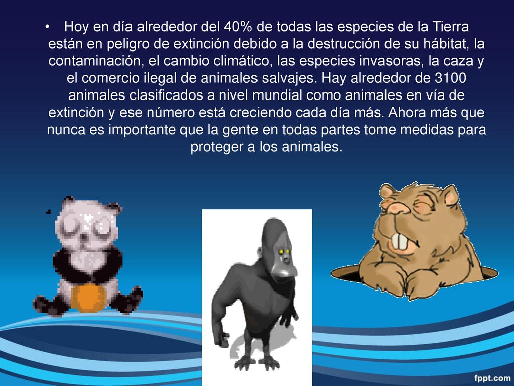 Hoy en día alrededor del 40% de todas las especies de la Tierra están en peligro de extinción debido a la destrucción de su hábitat, la contaminación, el cambio climático, las especies invasoras, la caza y el comercio ilegal de animales salvajes.