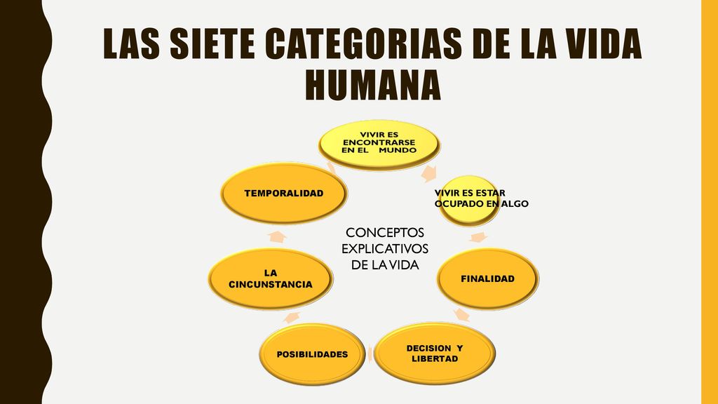 LAS SIETE CATEGORIAS DE LA VIDA HUMANA