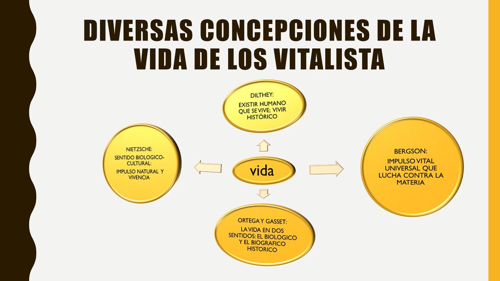 Diversas concepciones de la vida de los vitalista