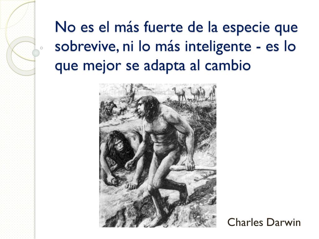 No es el más fuerte de la especie que sobrevive, ni lo más inteligente - es lo que mejor se adapta al cambio