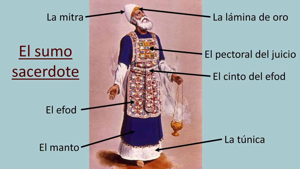 El sumo sacerdote La mitra La lámina de oro El pectoral del juicio