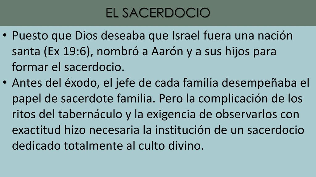 EL SACERDOCIO Puesto que Dios deseaba que Israel fuera una nación santa (Ex 19:6), nombró a Aarón y a sus hijos para formar el sacerdocio.