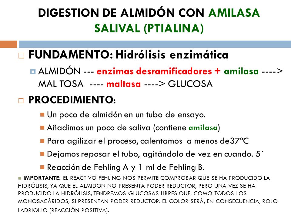 DIGESTION DE ALMIDÓN CON AMILASA SALIVAL (PTIALINA)