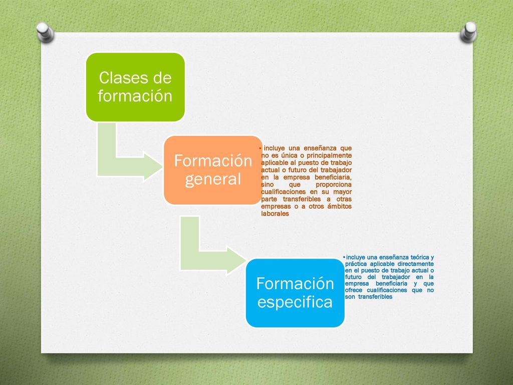 Clases de formación Formación general Formación especifica